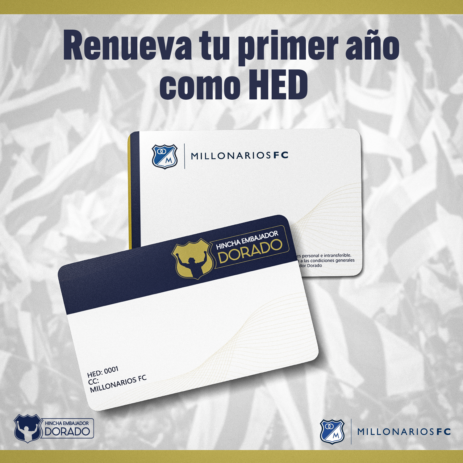 Renovación Membresía HED - Primer Año