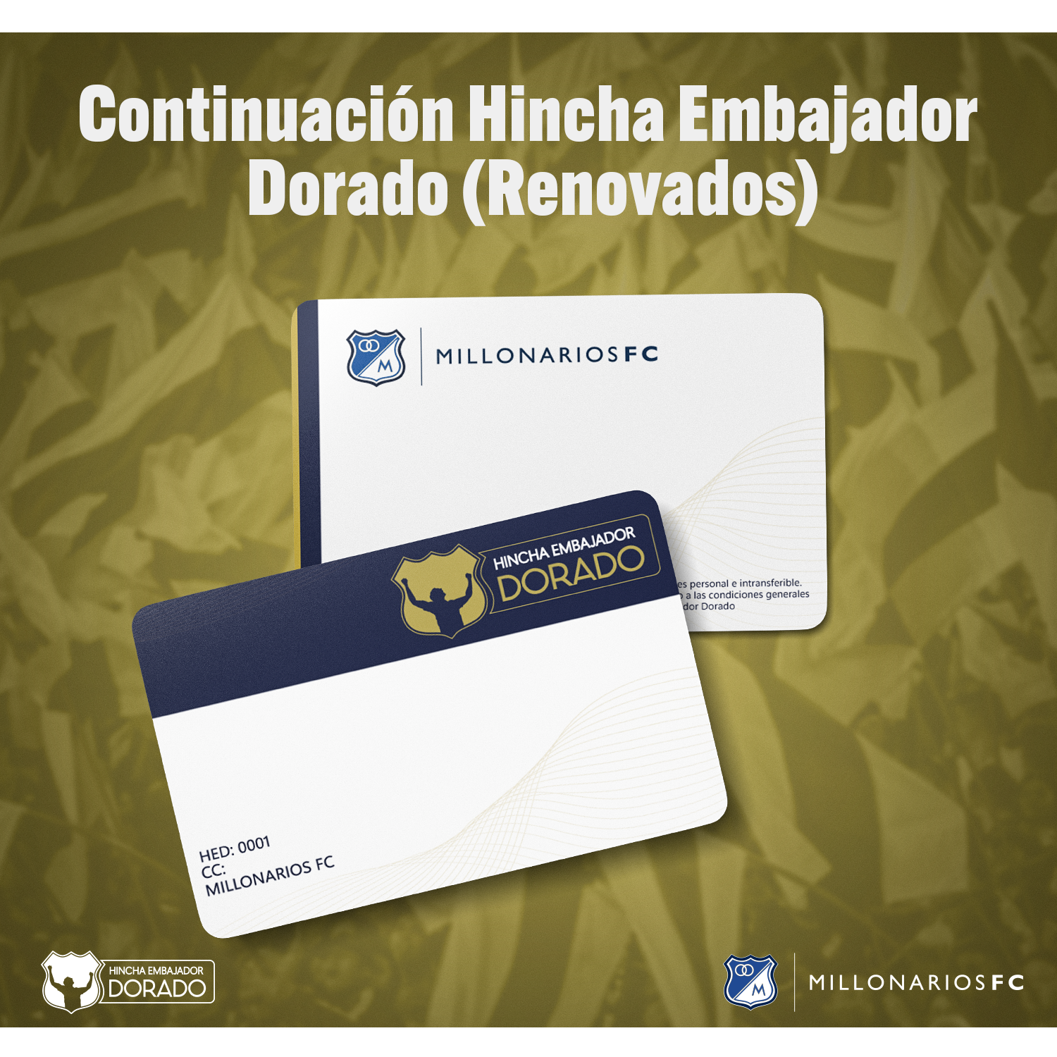 Continuación Membresía HED - Renovados